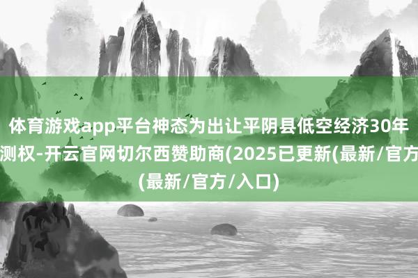 体育游戏app平台神态为出让平阴县低空经济30年特准揣测权-开云官网切尔西赞助商(2025已更新(最新/官方/入口)