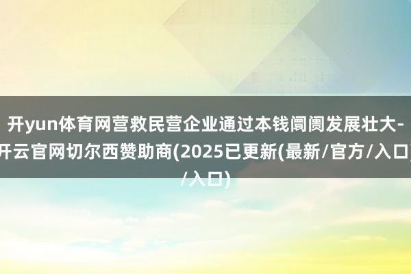 开yun体育网营救民营企业通过本钱阛阓发展壮大-开云官网切尔西赞助商(2025已更新(最新/官方/入口)
