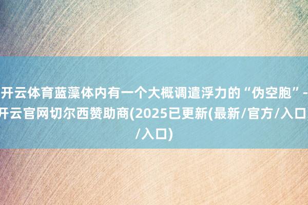 开云体育蓝藻体内有一个大概调遣浮力的“伪空胞”-开云官网切尔西赞助商(2025已更新(最新/官方/入口)